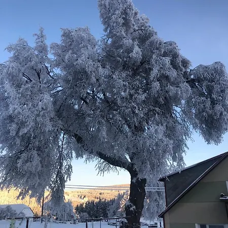 Апартаменты U Geresu Задов